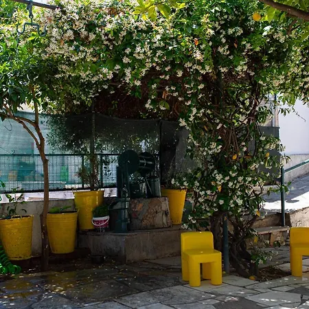 Lemon Tree Family House بيت للعطل