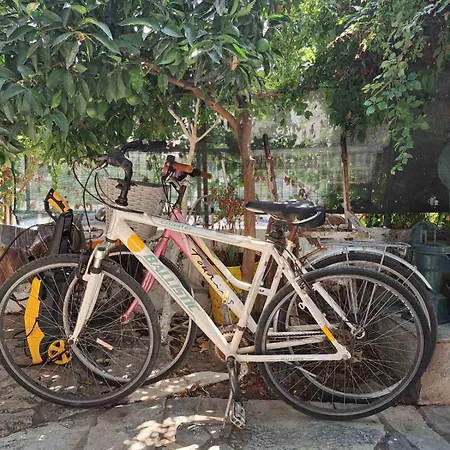 בית נופש Lemon Tree Family House *