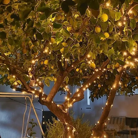 בית נופש Lemon Tree Family House