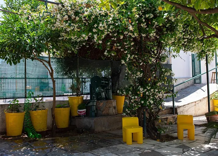 Lemon Tree Family House Vakantiehuis