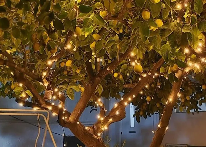 Vakantiehuis Lemon Tree Family House