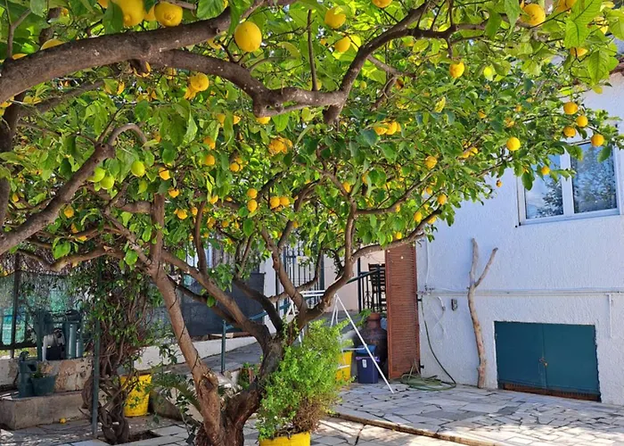 Vakantiehuis Lemon Tree Family House Vrahati